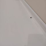 Гостиница Тамбовская, фото гостя