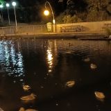 Воронеж, фото отдыхающего в сентябре
