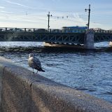 Ленинградская область, фото отдыхающего в октябре