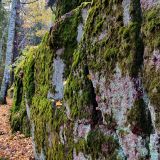 Ленинградская область, фото отдыхающего в октябре