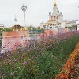 Новая Москва, фото отдыхающего в октябре