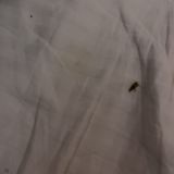 Гостевой дом Капитал на Московском проспекте, фото гостя