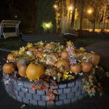 Парк Отель, фото гостя