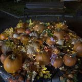 Парк Отель, фото гостя