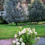 База отдыха Давинчи Парк, фото гостя