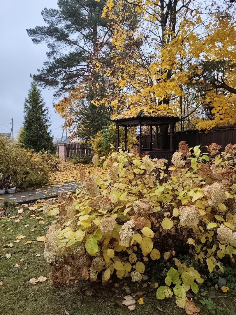 Комфорт, фото гостя