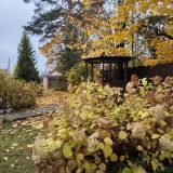 Гостевой дом Комфорт, фото гостя