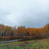 Экопарк Поляны, фото гостя
