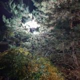 Загородный отель Ателика Улиткино, фото гостя