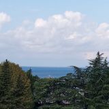 Отель М Отель, фото гостя