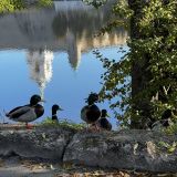 Гостиница Ольгинская, фото гостя