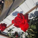 Отель Олимп, фото гостя