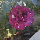 Отель Олимп, фото гостя