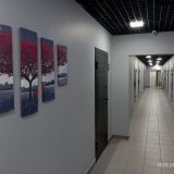 Апартаменты Knokey Варшавская, фото гостя