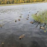 Тверь, фото отдыхающего в октябре