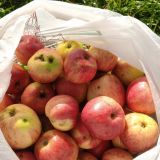 Гостиница Балтика, фото гостя