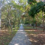 Отель Золотое руно, фото гостя