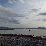 Мини-отель Три Зайца, фото гостя