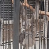 Отель Ялта Интурист, фото гостя