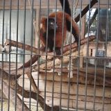 Отель Ялта Интурист, фото гостя