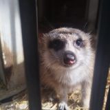 Отель Ялта Интурист, фото гостя