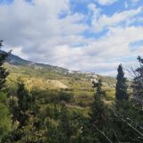 Отель Ялта Интурист, фото гостя