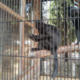 Зоопарк на территории.