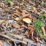 Поляна 1389 Отель и Спа, фото гостя