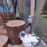 База отдыха Самая Ладога, фото гостя