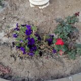 Гостиница Спутник, фото гостя