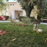 Пансионат Дольче Вита, фото гостя