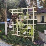 Пансионат Дольче Вита, фото гостя