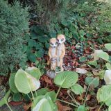 Пансионат Дольче Вита, фото гостя