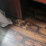 Отель Верона, фото гостя