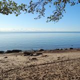 Ленинградская область, фото отдыхающего в октябре