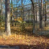 Ленинградская область, фото отдыхающего в октябре