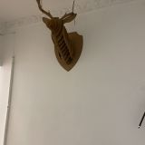 Хостел Атмосфера, фото гостя