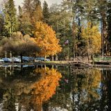 Загородный отель Комарово, фото гостя