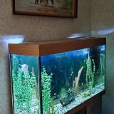 Мини-отель Гармония, фото гостя