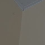 Отель Ростов, фото гостя