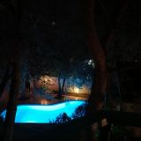 Гостевой дом Сосновая дача, фото гостя