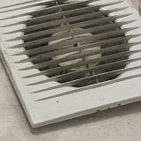 Борис Биф, фото гостя