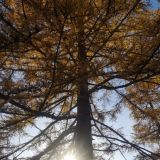 Мини-отель New Day, фото гостя