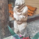 База отдыха Озеро Желаний, фото гостя