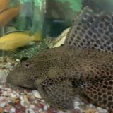 Мини-отель Гостилицы, фото гостя