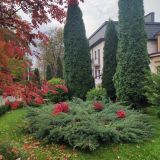 Гостевой дом Цветник Пятигорья, фото гостя