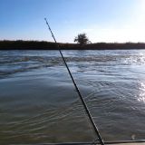 Гостиничный комплекс Рыбаградъ, фото гостя