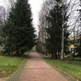 Санаторий Изумруд, фото гостя