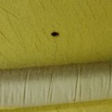 Хостел Дон, фото гостя