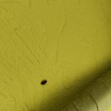 Хостел Дон, фото гостя